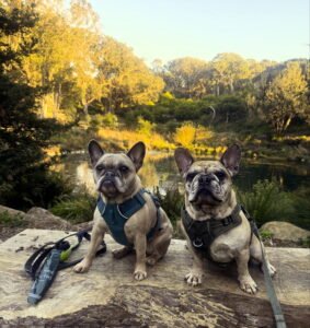 About 6023dac4 c5f2 4e16 9f3c 0cc39c40ab71